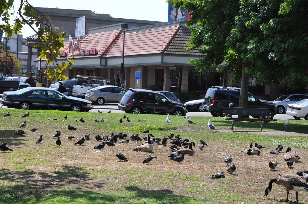 Americas Best Value Inn - Downtown Oakland/Lake Merritt Buitenkant foto